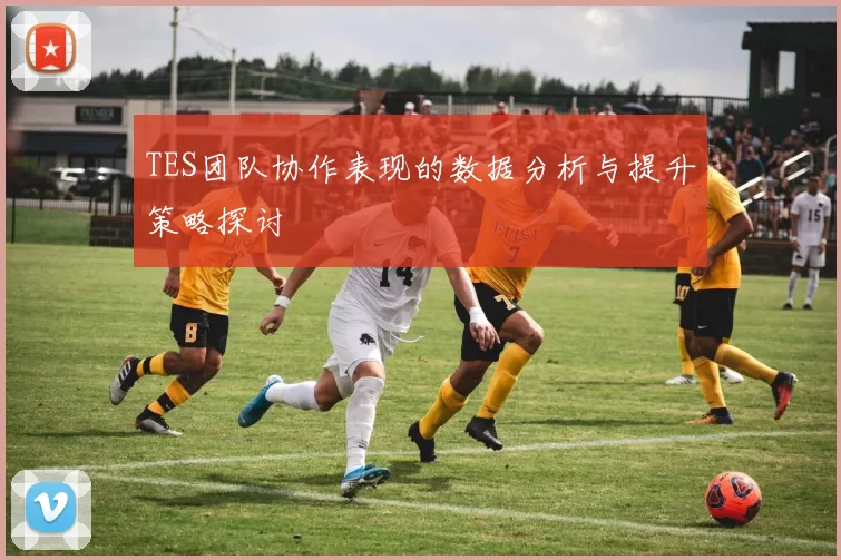 TES团队协作表现的数据分析与提升策略探讨