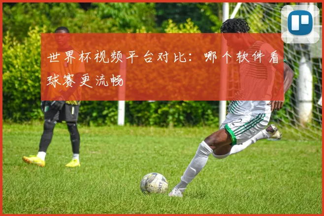 世界杯视频平台对比:哪个软件看球赛更流畅