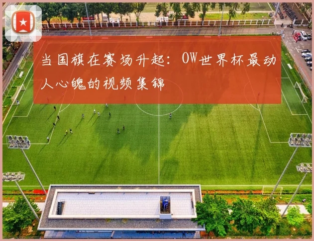 当国旗在赛场升起:OW世界杯最动人心魄的视频集锦
