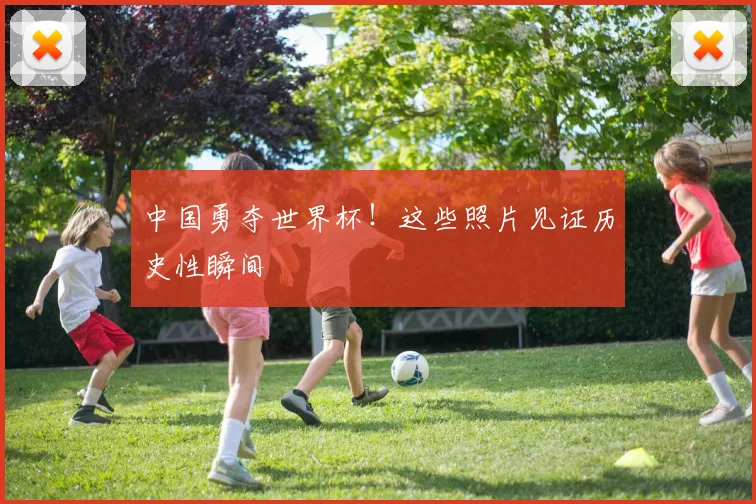 中国勇夺世界杯!这些照片见证历史性瞬间