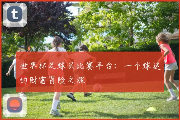 世界杯足球买比赛平台:一个球迷的财富冒险之旅