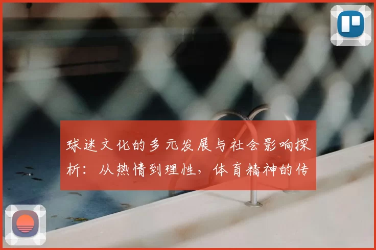 球迷文化的多元发展与社会影响探析：从热情到理性，体育精神的传承与创新