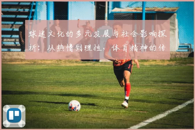 球迷文化的多元发展与社会影响探析：从热情到理性，体育精神的传承与创新