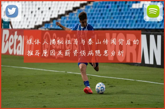 媒体人揭秘祖马与泰山传闻背后的推荐原因及薪资伤病隐患分析