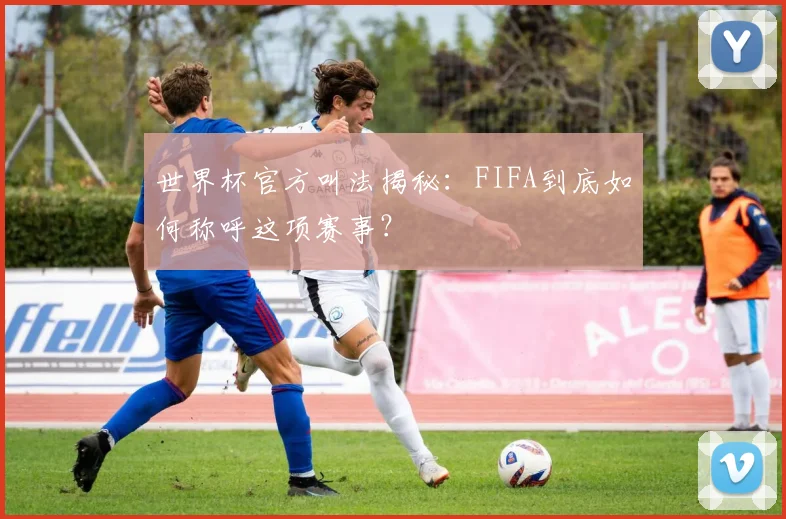 世界杯官方叫法揭秘:FIFA到底如何称呼这项赛事?