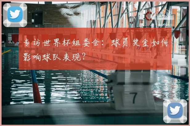 专访世界杯组委会:球员奖金如何影响球队表现?
