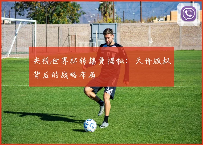 央视世界杯转播费揭秘：天价版权背后的战略布局