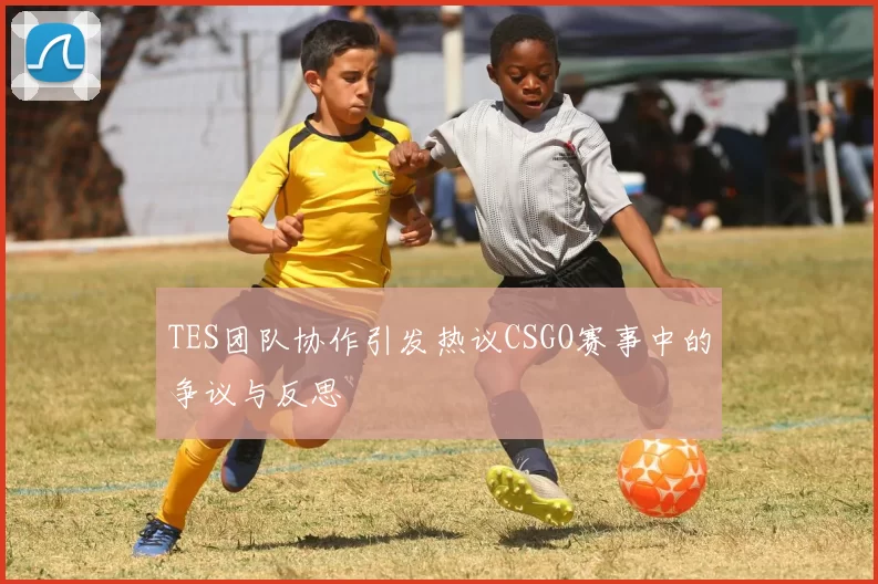 TES团队协作引发热议CSGO赛事中的争议与反思