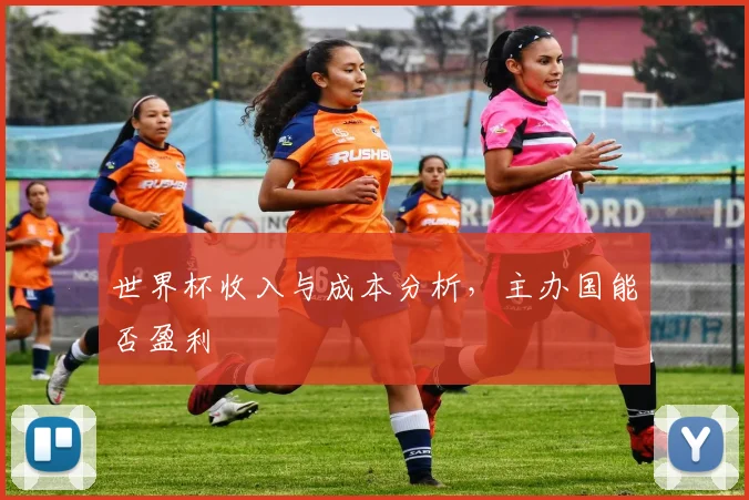 世界杯收入与成本分析，主办国能否盈利