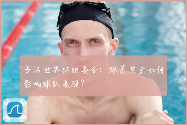 专访世界杯组委会:球员奖金如何影响球队表现?