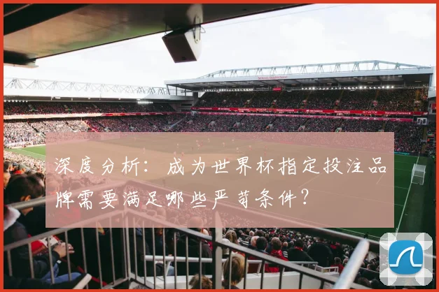 深度分析：成为世界杯指定投注品牌需要满足哪些严苛条件？