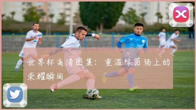 世界杯高清图集:重温绿茵场上的荣耀瞬间