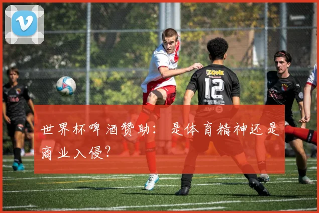 世界杯啤酒赞助：是体育精神还是商业入侵？
